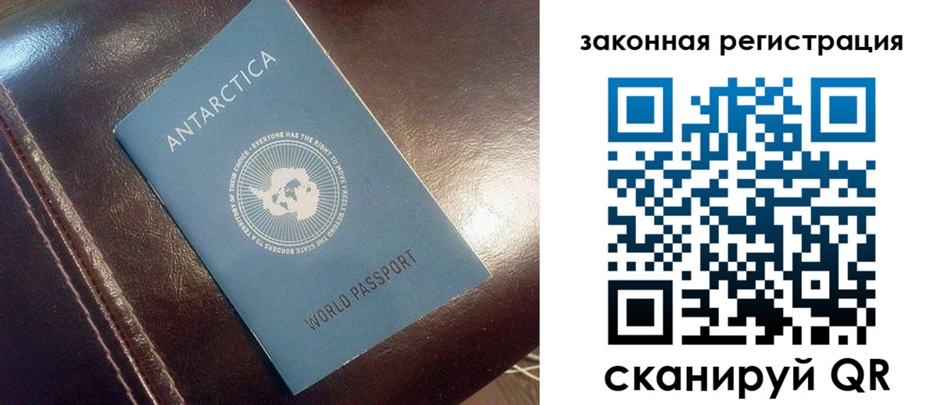 временная регистрация поиск в Одинцово